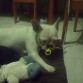 Ella y su chupete! como le gustaba dormir con el.. jjeje