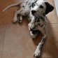 La enana posando
