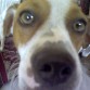 soy tarzan por la web cam de mi mami dueña.