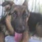  4 meses