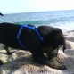 La playa, le encanta! ejem...bueno, de momento la arena, el agua, nada, nada...