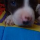 aki tiene un meszzZz