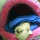 LE ENCANTA DORMIR ASII BOCA ARRIBA  Y SI LA TAPAN MUCHO MEJOR PARA ELLA PARECE UNA BEBE 