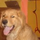 Sonrrisaaaaa!