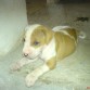 este es hijo de moly y es hermano de draco y kiara