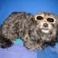 QUE CHULA CON MIS GAFAS