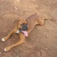 con 8 meses