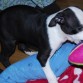 Fiona con 1 mes y 15 días
