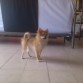 a los 5 meses