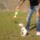 killer con 2 meses casi !!