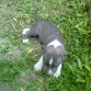 descansando un poquito