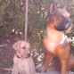 Bruno con un amigo..jejejej