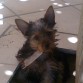 Mi Sara la peque del grupo