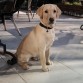 Bruno con 5 meses y medio....de vacaciones y posando para la foto¡¡¡¡¡¡¡¡¡