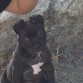 Aqui estabamos en el Monte cuando tenia 2 meses, tiene una cara para comersela!