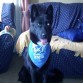 kira tiene ahora 1 año y 7 meses
