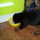 Comiendo solitoo ..