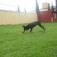 heyyy ve por el !!!!