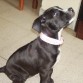 Lola con 2 meses 