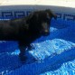 AL AGUA PATOS!