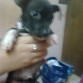 killer a los 2 meses de edad