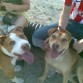 tyson y neila 5 meeses