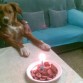 este fue su primer cumple