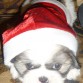 Su primer traje navideño
