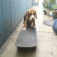 Samantha probando el Skate
