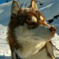 Tomando el sol invernal...