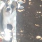 Hermosho mi bb jejeje