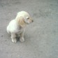 y ahora por donde me voy....!!!