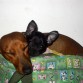 Aqui un fotito de Loola y vicky! hacia mucho frio! 
Aunque hay calefaccion, ella prefieren estar juntas :} fue amor a primera vista :D