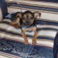 lilo descansandito

