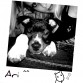 Black & White Ari ^^