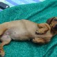 Posando la coqueta ^^