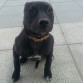 KIRA 4 MESES 
