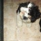3 meses y medi0 apr0oxi