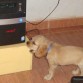Ahi empezó su afición a zampar! =D