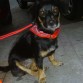 La foto es actual.... Es bonita, verdad?? :)
