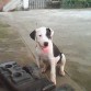 capi cuaando tenia dos meses