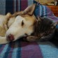 Luna y Kero, inseparables...