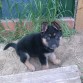 aqui tenia dos meses y medio:)