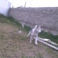 3 mesecitos