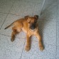 2 meses