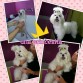 En la peluqueria. Que guapa la han dejado!!