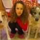 Flippy(cruce de fox terrier y beagle), Tucho (Mastín) y yo