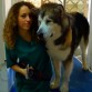 Nico (Husky Siberiano) y yo