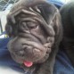 mi bebita, ahi con 1 mes 8 dias de nacida