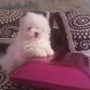Con 2 meses